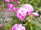 P1280091