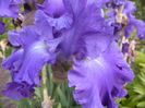 P1280102
