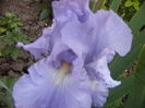 P1280110