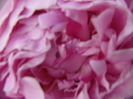 P1280113