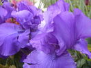 P1280119