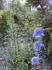 DSC01618