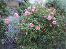 DSC01630