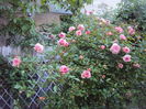 DSC01631