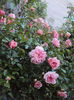 DSC01632
