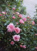 DSC01633