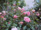 DSC01634