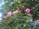 DSC01635