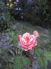 DSC01642