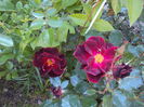 DSC01649