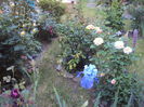 DSC01655