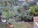 DSC01662