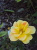 DSC01669