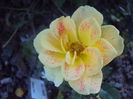 DSC01673