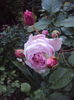 DSC01720