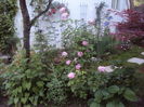 DSC01725