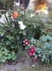 DSC01727