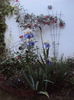 DSC01731