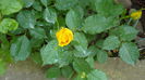 P1150075