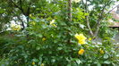 P1150078