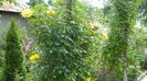 P1150079