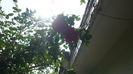 P1150090