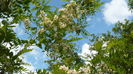 P1150102