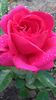 20160524_071850