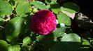P1150138