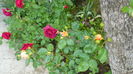 P1150297
