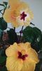 20160524_080952