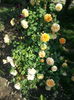 20160521_091849