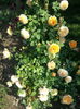 20160521_091940