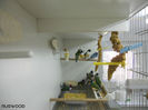 DSCN5475
