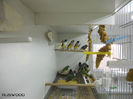 DSCN5478