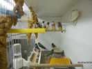 DSCN5487