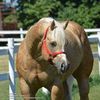 FB_IMG_1464022476536