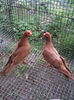 IMG_20160519_193703