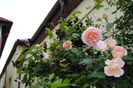 Abraham DArby si Romantika
