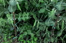 IMG_20160524_191603