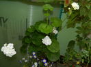 DSCN9310