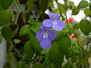 DSCN9326