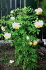 IMG_20160524_191348