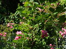 DSCN9462