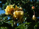 DSCN9464