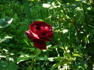 DSCN9465