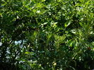 DSCN9468