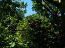 DSCN9473
