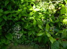 DSCN9483