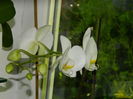 DSCN9587